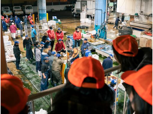 [Kagawa/Takamatsu] Guided Setouchi Fish Market Tourの画像