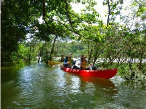 なきじん海辺の自然学校