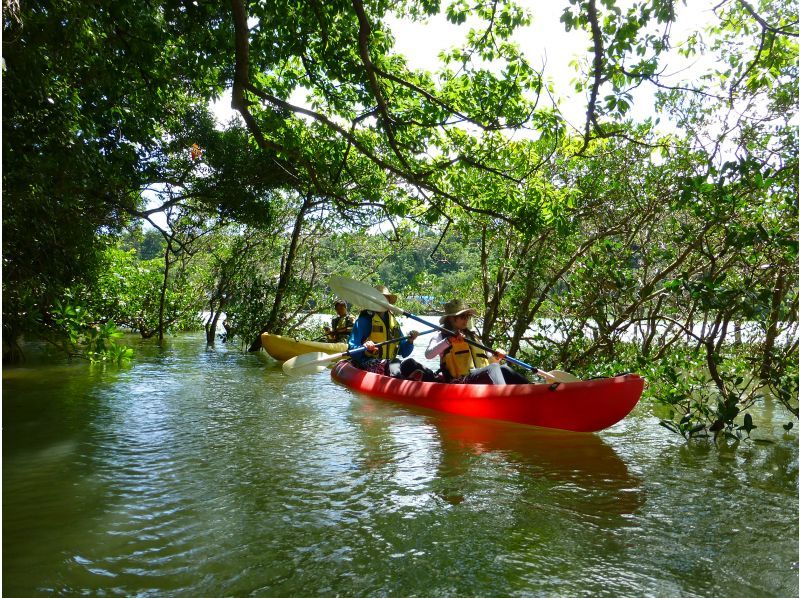 【北海道・SUP体験】透明度の高い支笏湖の湖面をクルージング！SUP体験（半日コース）の画像