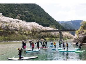 【高知・仁淀川】春のスペシャルツアー  3月限定 桜咲く絶景仁淀ブルーでお花見SUP 女子旅にもオススメ！！