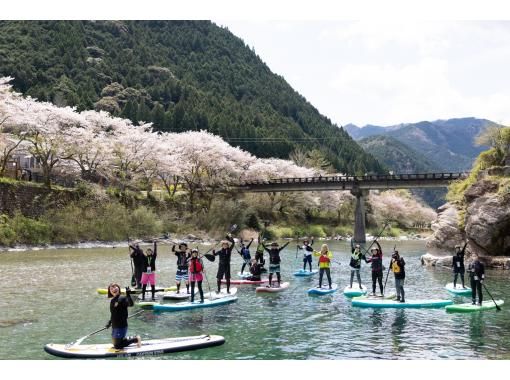 【高知・仁淀川】春のスペシャルツアー  3月限定 桜咲く絶景仁淀ブルーでお花見SUP 女子旅にもオススメ！！の画像