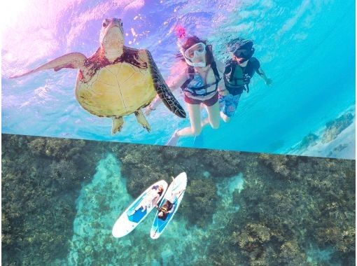 Miyakojima [Private VIP Plan] [Sea Turtle Snorkeling & SUP Tour] 100% sea turtle encounter rate continues! It's sure to look great on SNS!の画像
