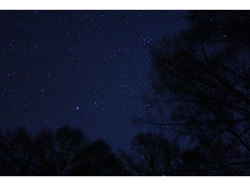 [Niigata/Echigo Yuzawa/Snowshoe Night] Don't worry if you are not confident in your physical strength! With guide! Let's take a walk in the snow country at night!の画像