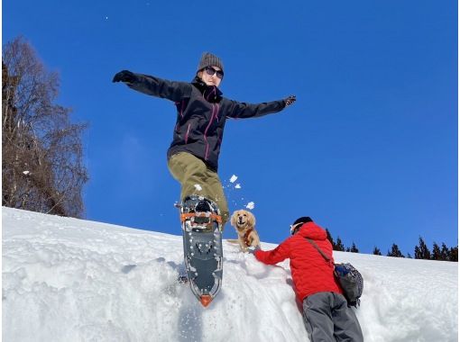 [Niigata/Echigo Yuzawa/Snowshoe] Hiking on the snow in Echigo!の画像