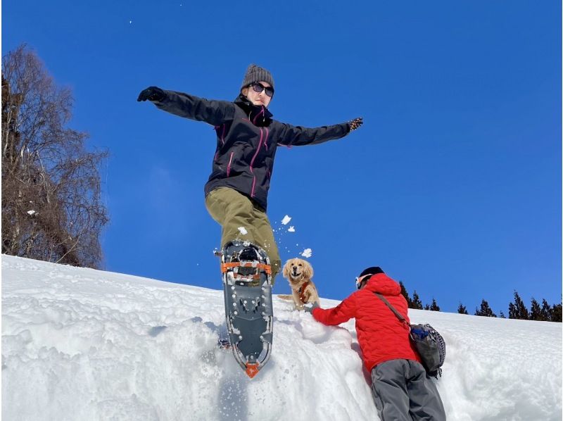 【新潟・越後湯沢・スノーシュー】越後をぷらっと雪上ハイキング！の紹介画像