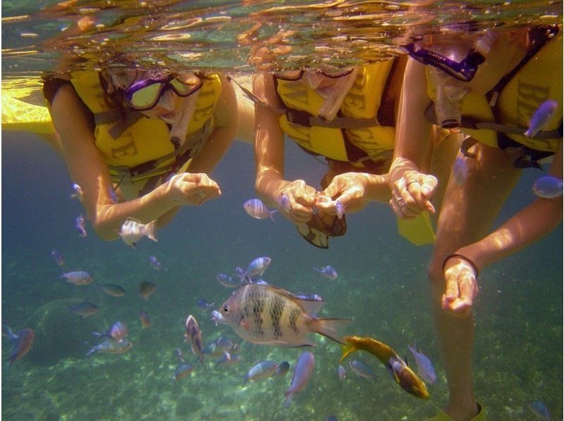 [Uruma City] Snorkel at the original spot "Flower Garden" accessible by boat!の紹介画像