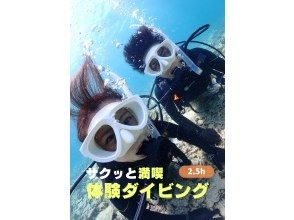 冬季割！【石垣島・2.5h】【1日4便】★少人数制★自由に時間を選べる！初心者向け体験ダイビングー石垣島旅行を存分に楽しみたい方必見！