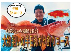 [Spring Sale in progress] Aim for a big fish with a half-day swim fishing on Ishigaki Island. Catch a red jinbai! [PM course]の画像