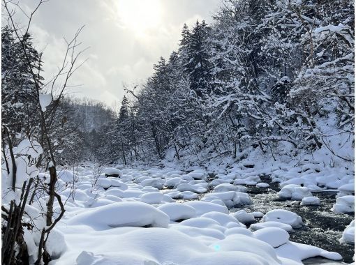 【北海道・定山渓】定山渓温泉の森でスノーシュー体験 <初心者OK・レクチャー付>の画像