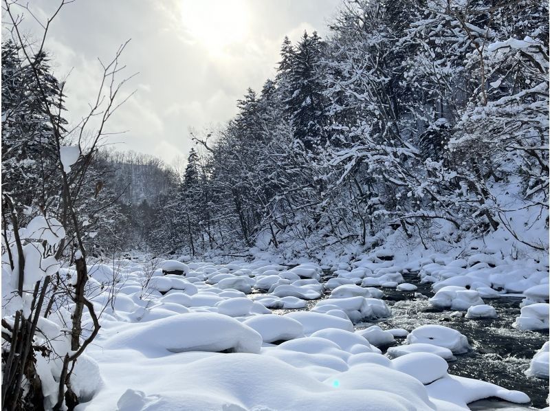 【北海道・定山渓】定山渓温泉の森でスノーシュー体験 <初心者OK・レクチャー付>