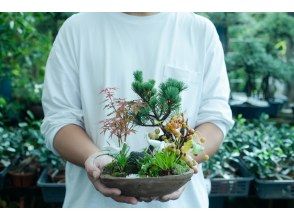 Experience creating a one-of-a-kind bonsai in the world ~Enjoy the ``changing art'' of a culture that has been loved since ancient times~