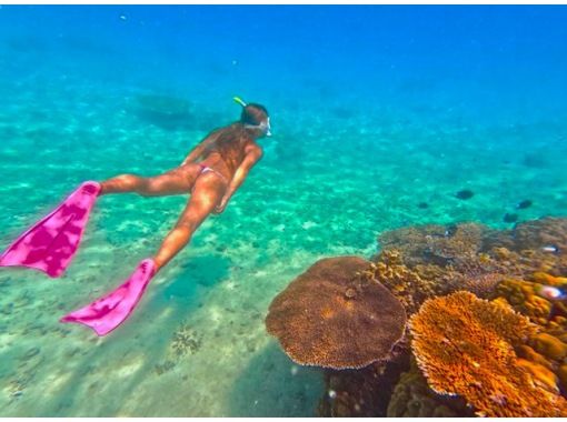 [沖繩/古宇利島] 美麗海水族館附近！在秘密海灘浮潛和清澈的SUP體驗！免費水下相機和無人機攝影！對於初學者和兒童是安全的の画像
