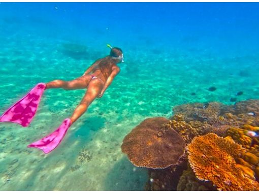 Okinawa's No.1 beach!! Snorkeling & Clear Kayak [90 minutes] Near Jangria, Churaumi Aquarium, and Kouri Island! Free high-quality underwater camera photography♪♪の画像