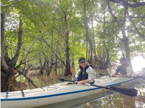 [Okinawa, Miyakojima] Full of nature! Mangrove jungle kayak tour! Miyakojima's rare mangrove ★ Hidden spot ♪