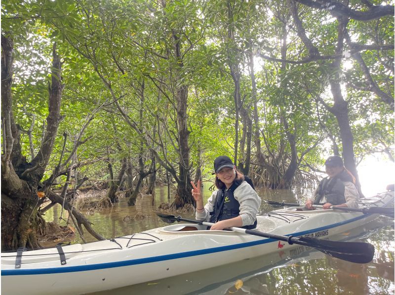 [Okinawa, Miyakojima] Full of nature! Mangrove jungle kayak tour! Miyakojima's rare mangrove ★ Hidden spot ♪の紹介画像