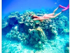 [Okinawa, Kouri Island] Limited to one group ★ Snorkeling experience at a hidden beach near the Churaumi Aquarium! Great for SNS ◎ Free underwater camera and drone photography! Reservations can be made the day before!の画像