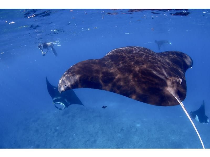 【北海道・SUP体験】透明度の高い支笏湖の湖面をクルージング！SUP体験（半日コース）の画像