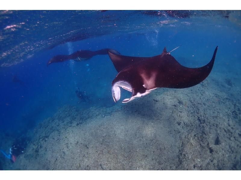 【北海道・SUP体験】透明度の高い支笏湖の湖面をクルージング！SUP体験（半日コース）の画像