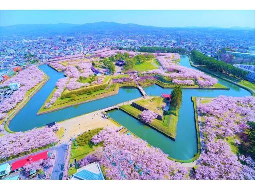 [Hakodate, Hokkaido] 1 night and 2 days cherry blossom bus tour from Sapporoの画像