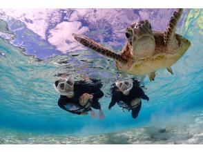 Miyakojima, 2 hours, sea turtles [sea turtle snorkel photo tour encounter rate 100%] At-home tours are now being held ♪ Necessary equipment rental & photos are free!