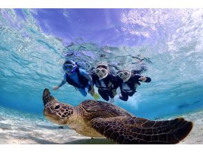 【오키나와 · 미야코 섬 · 가족 전세 할인 · 2 시간] 스프링 세일 실시 중! 가족 한정 ♪ 바다 거북 스노클 포토 투어! 바다 거북 포토 포함の画像
