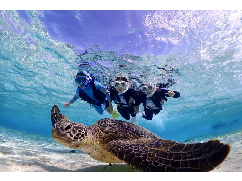 SALE! Miyakojima, Family Charter, 2 hours [Family Discount Sea Turtle Snorkel Photo Tour] 100% success rate {Equipment rental & photos all free} Ages 1 and up OKの紹介画像