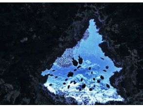 【沖縄・青の洞窟】ボートエントリー  青の洞窟 スキンダイビングの画像