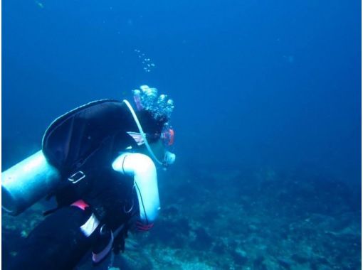 [Departing from Yugawara] It was true that you can dive! Senior & barrier-free trial diving の画像