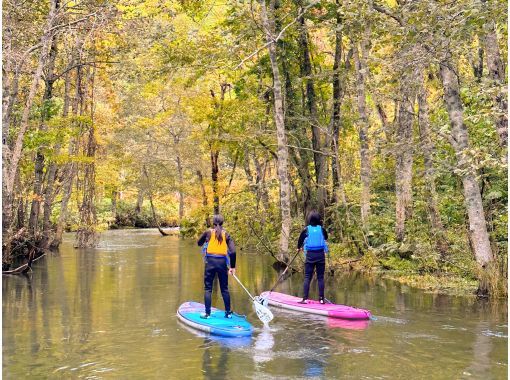 [Hokkaido, Yoichi/Akaigawa] Limited run until October! Forest Lake SUP ~ Relax in the quiet forest and clear air ~ Free wetsuit rental ♪ Ochiai Dam Lakeの画像