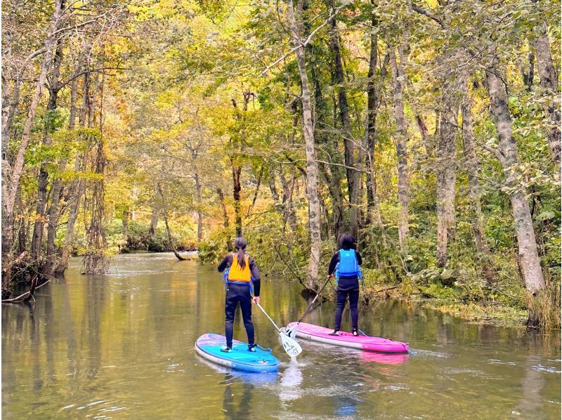 [Hokkaido, Yoichi/Akaigawa] Limited run until October! Forest Lake SUP ~ Relax in the quiet forest and clear air ~ Free wetsuit rental ♪ Ochiai Dam Lakeの紹介画像