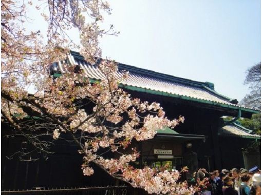 通常非公開の皇居「乾通り」 桜の一般公開＆千鳥ヶ淵・靖国神社・北の丸公園・東京桜名所さんぽ　ホテルブッフェ付き～【029029‐556】