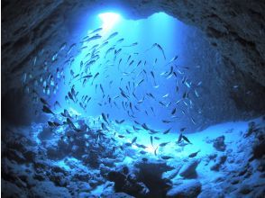 Miyakojima Diving Service Islander Depot