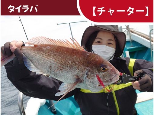 [Wakayama/Susami Town [Charter]] You can aim for sea bream and grouper! Tairabaの画像