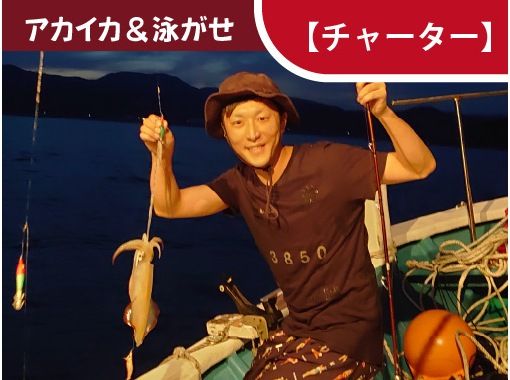 [Wakayama/Susami Town [Charter]] Red squid fishing & swimming! (half night from June to September)の画像