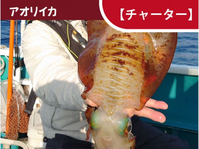 [和歌山/週見町[包船]]您想捕捉大鰭魷魚嗎？ ？大鰭魷魚：Tip Run（7 小時）の紹介画像