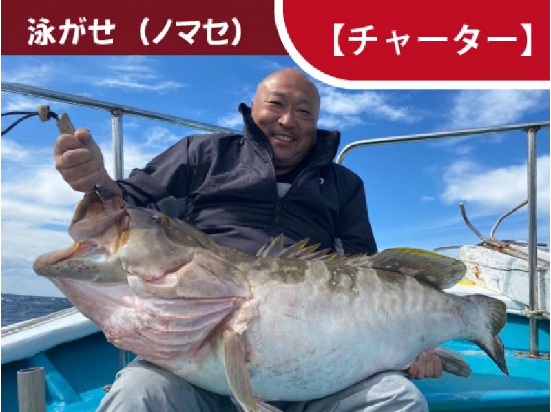 和歌山・すさみ町［チャーター］】大物を狙おう！泳がせ釣り（ノマセ