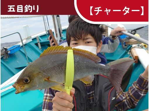 [Wakayama/Susami Town [Charter]] You never know what you can catch! Gomoku fishing (shared)の画像