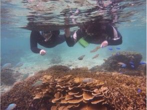 沖縄本島南部・糸満 自然海岸利用一組貸切お手軽シュノーケリングの画像