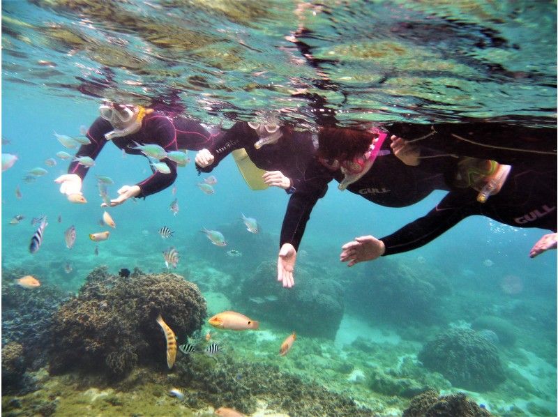 [Naha city· Naha To the airport With a shuttle bus] Okinawa Itoman natural coast private Snorkeling