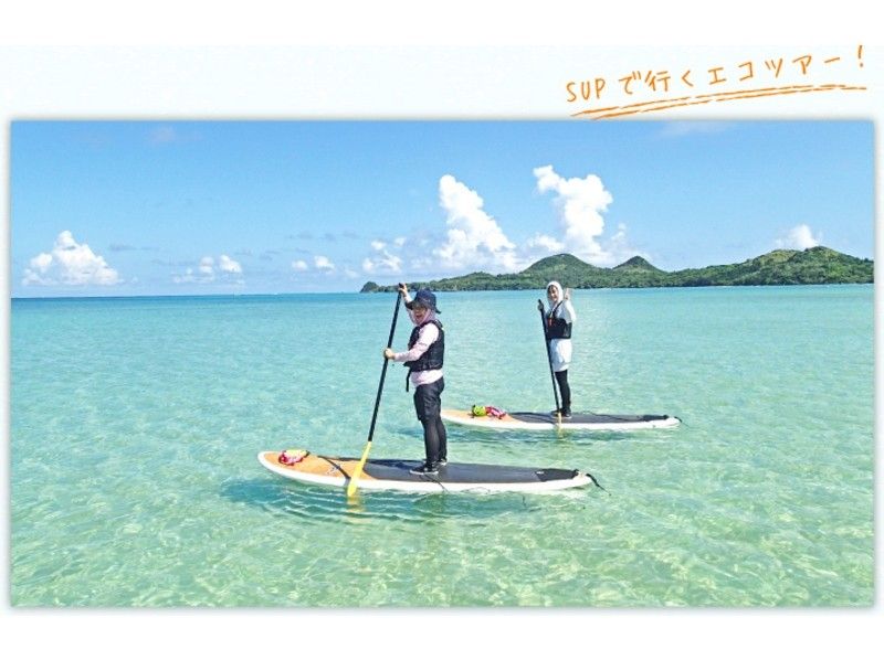【石垣島・初心者向け！写真プレゼント！】SUP 1時間体験ツアー