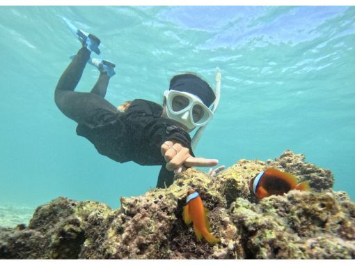 [The only one in Miyakojima! A comfortable snorkeling shop with free facilities] Anyone from 3 to 75 years old can enjoy it! The store is a 15-minute walk from the city center, so you can feel safe!の画像