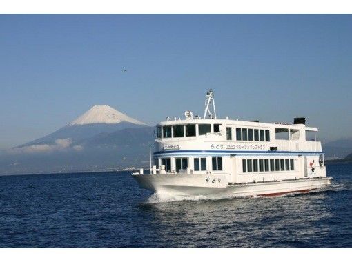 Limited to smartphone users [Shizuoka/Numazu] Numazu Port Sightseeing Cruise Ticketの画像