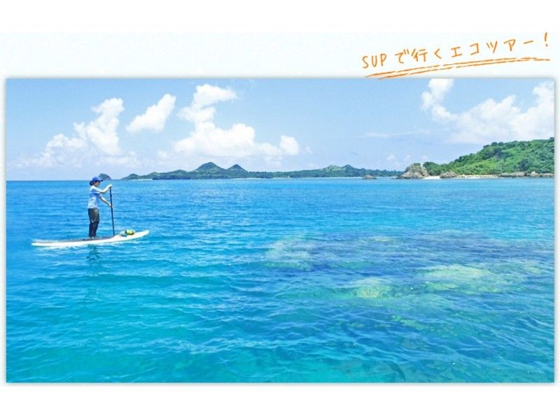 【石垣島・写真プレゼント！】南国SUPクルージングツアー（半日コース）