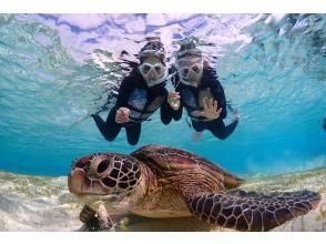 【오키나와 · 미야코 섬 · 전세 · 2 시간] 스프링 세일 실시 중! 한 세트 한정 ♪ 바다 거북 스노클 포토 투어! 바다 거북 포토 포함の画像