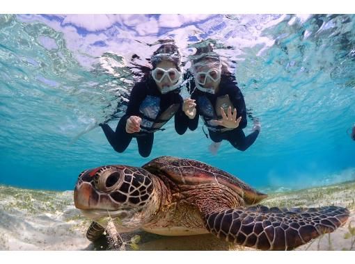 SALE! Miyakojima, 2 hours, private [Sea turtle snorkel photo tour for one group only] 100% encounter rate, equipment rental & free photos {High quality photos!}の画像