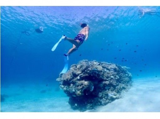 貸切プラン・初心者向け・スキンダイビング（素潜り）コース【写真・動画撮影無料☆餌付け体験付き】名護・北部・本部・やんばるの画像