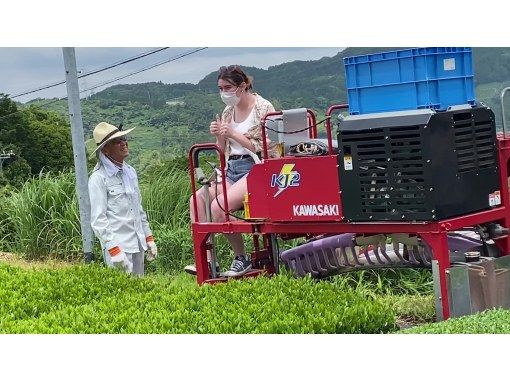 [Shizuoka/Kakegawa] ~ Tea time where you can enjoy interacting with tea farmers ~ Tea party with tea plantation walk and sencha in tea plantationの画像