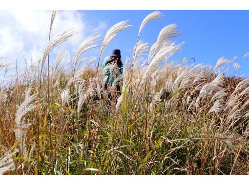 [Shiga/Kosai] First hike (perfect for mountain debut! Automated course)の画像