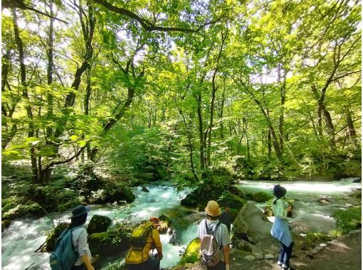 青森県・奥入瀬渓流】ガイドと歩く奥入瀬渓流！ | ActivityJapan