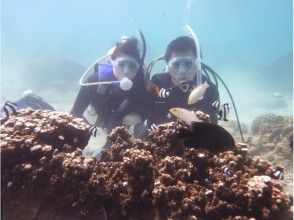 【那覇市内・那覇空港まで送迎あり】沖縄本島南部・糸満　自然海岸利用一組貸切お手軽体験ダイビング